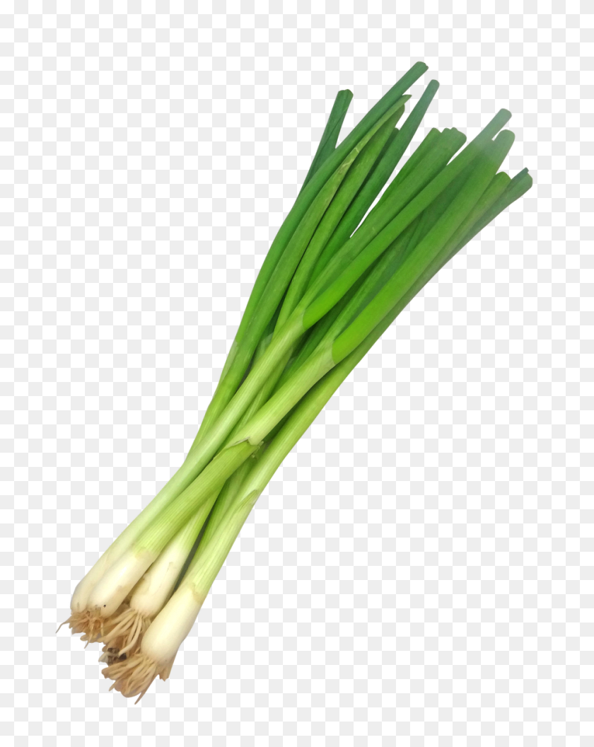 Detail Leeks Clipart Nomer 11