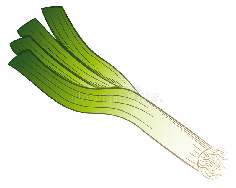 Detail Leeks Clipart Nomer 21