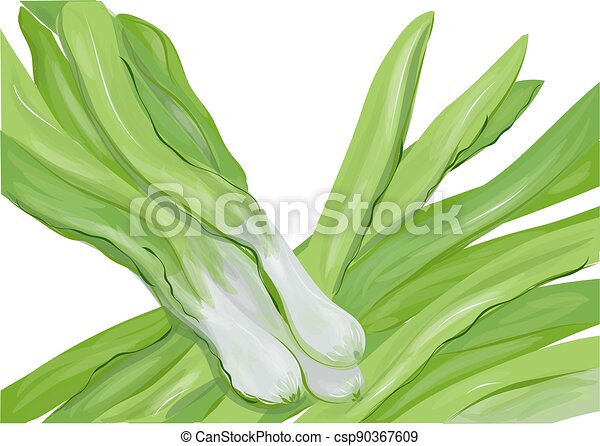 Detail Leeks Clipart Nomer 32