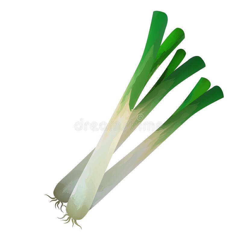 Detail Leeks Clipart Nomer 36