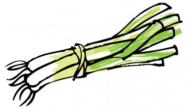 Detail Leeks Clipart Nomer 37