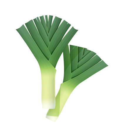 Detail Leeks Clipart Nomer 42