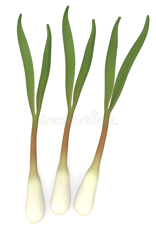 Detail Leeks Clipart Nomer 46