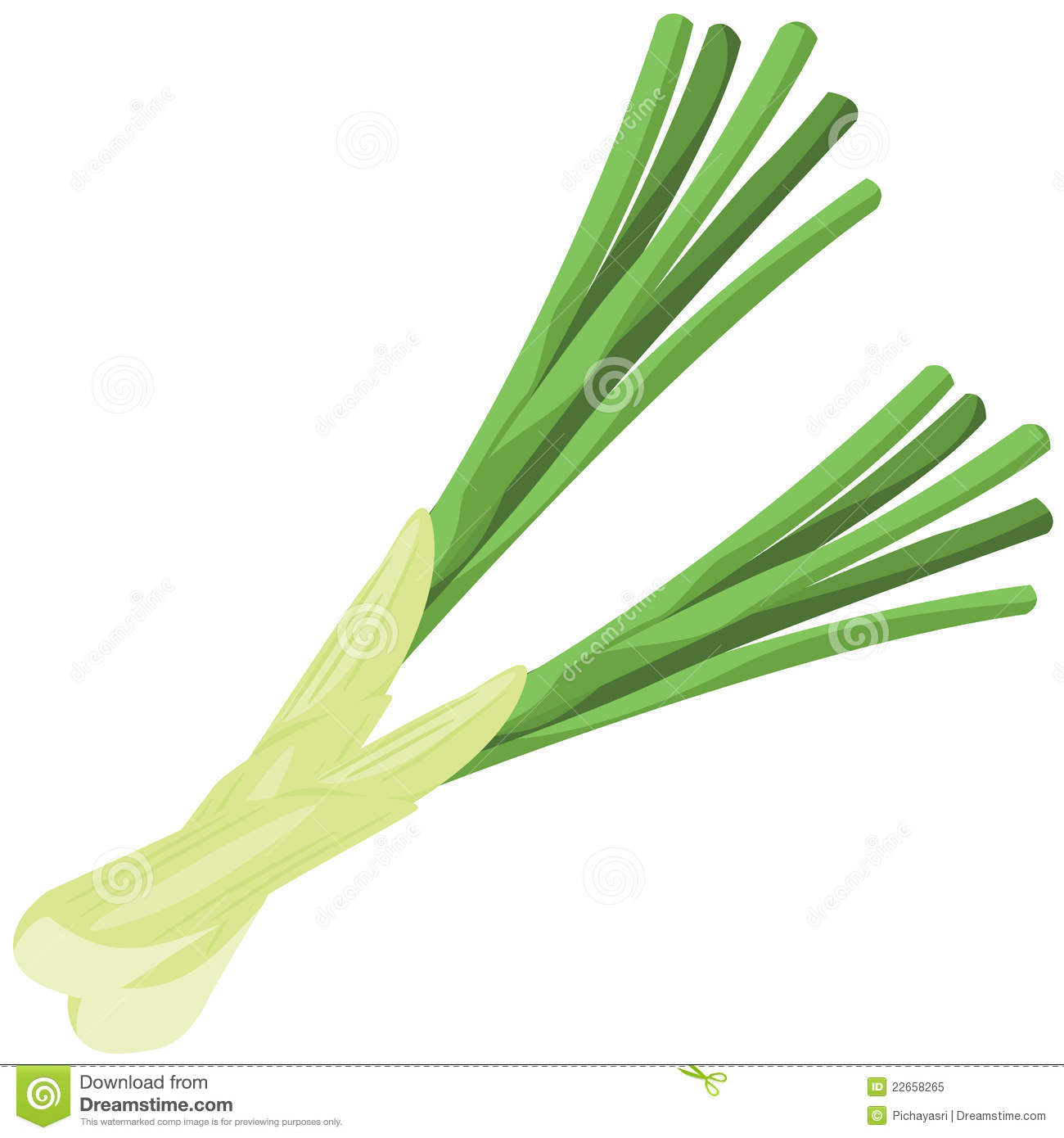 Detail Leeks Clipart Nomer 50