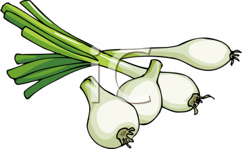 Detail Leeks Clipart Nomer 54