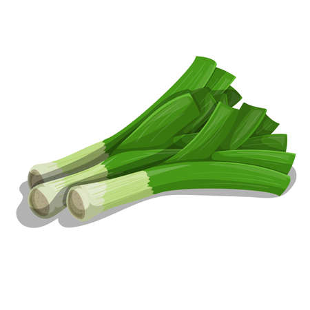 Detail Leeks Clipart Nomer 7