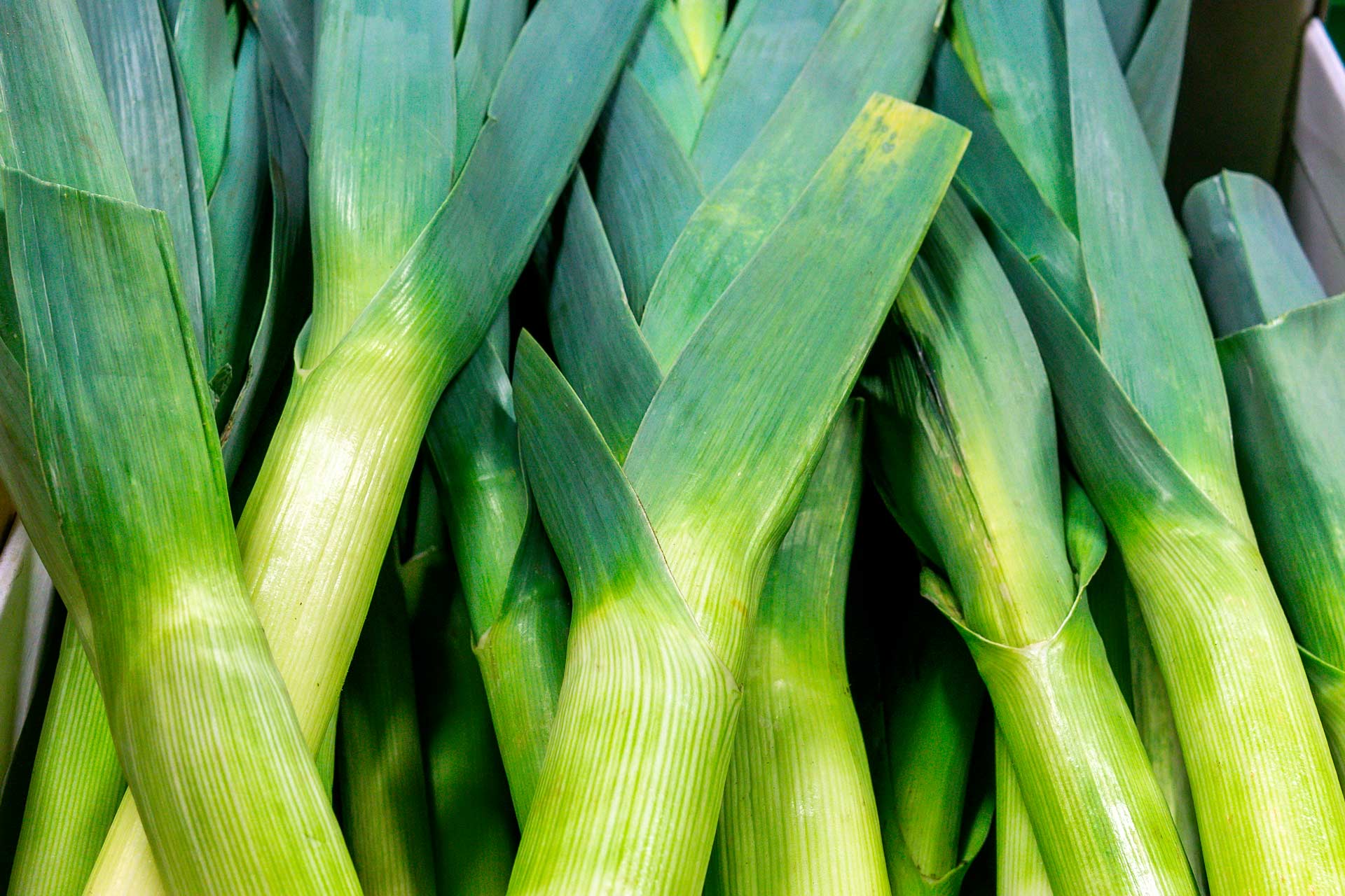 Detail Leeks Images Nomer 42