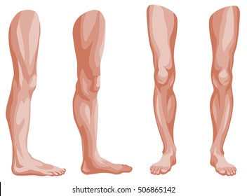 Detail Leg Images Nomer 12
