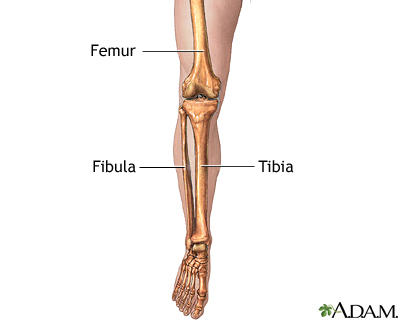 Detail Leg Images Nomer 20