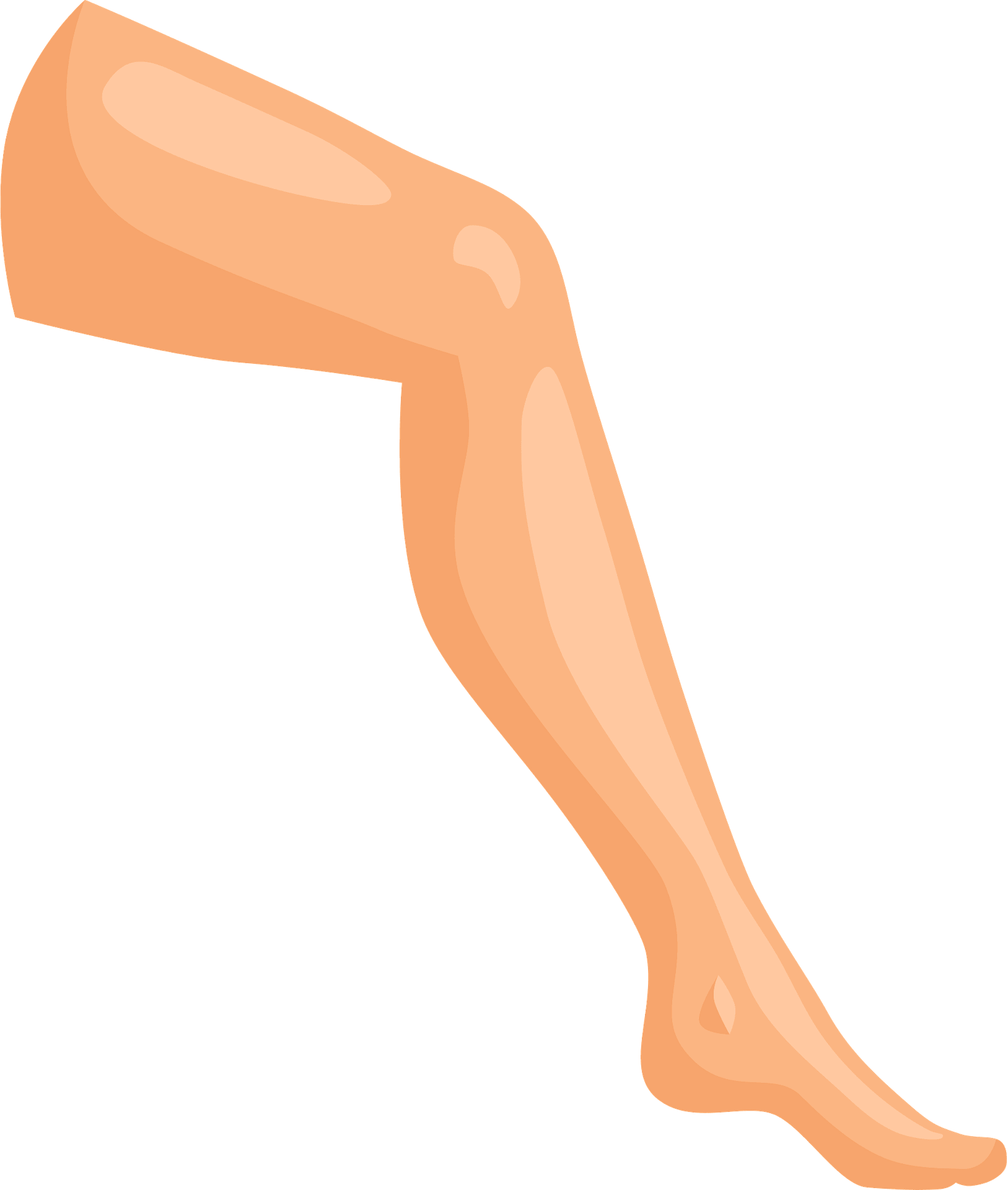 Detail Leg Images Nomer 21