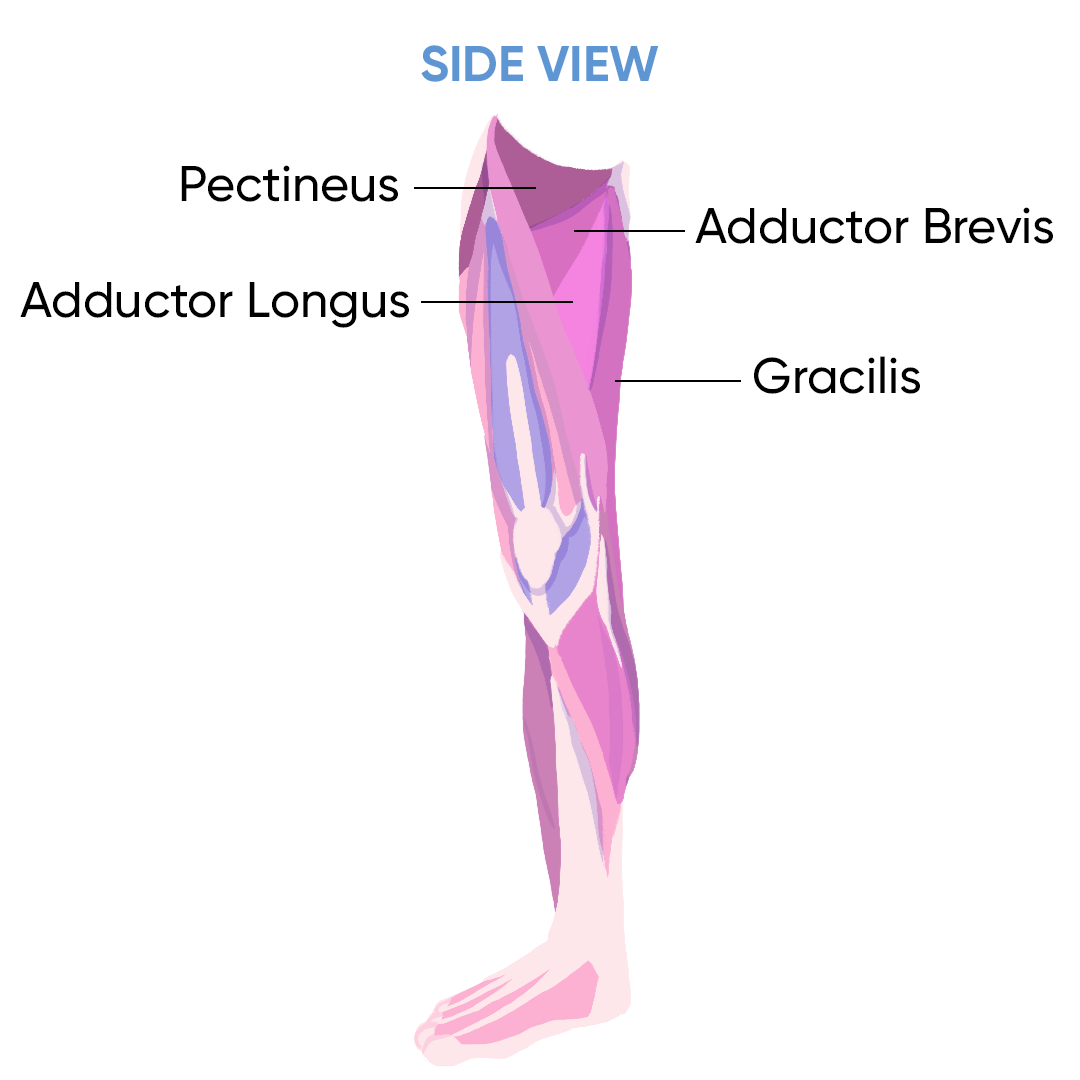 Detail Leg Images Nomer 27