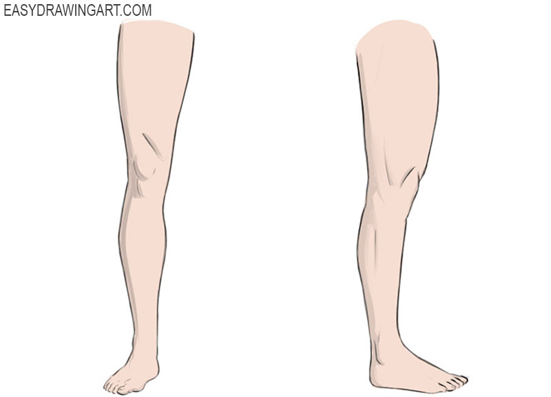 Detail Leg Images Nomer 34