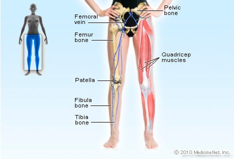 Detail Leg Images Nomer 39