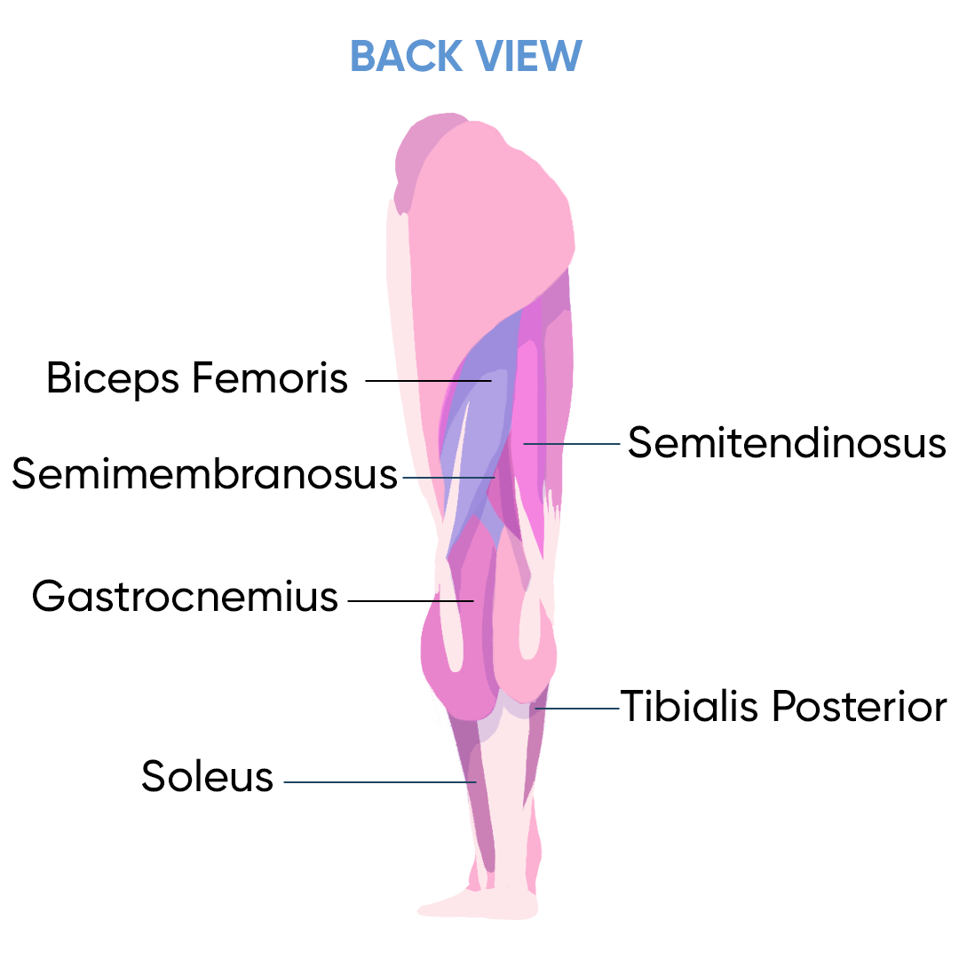 Detail Leg Images Nomer 41