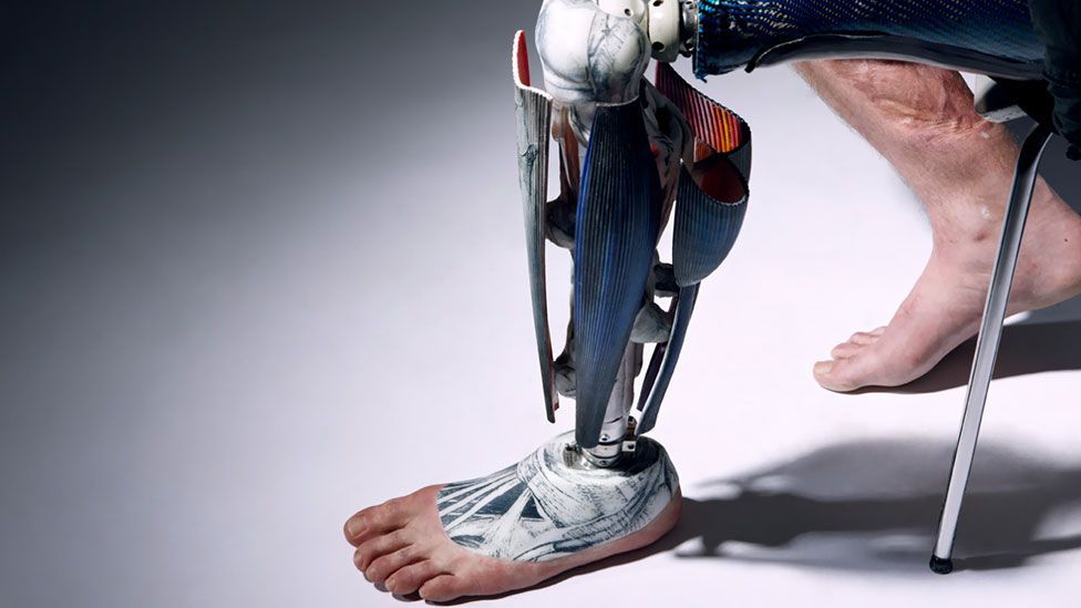 Detail Leg Images Nomer 45