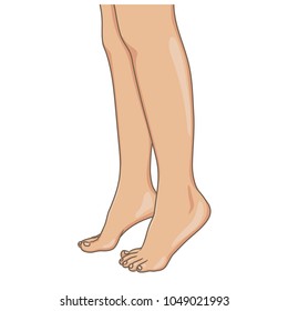 Detail Leg Images Nomer 7