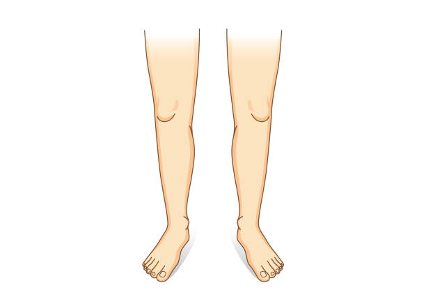 Detail Leg Images Nomer 10
