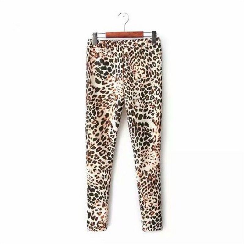 Detail Legging Macan Tutul Nomer 55