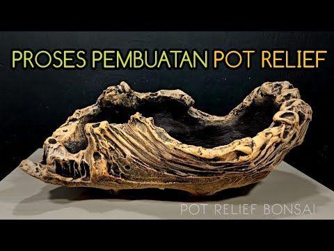 Detail Model Pot Bonsai Unik Nomer 21