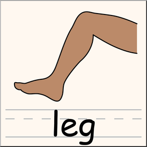 Detail Legs Clipart Nomer 9