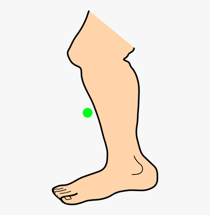 Detail Legs Clipart Nomer 16