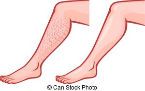 Detail Legs Clipart Nomer 44