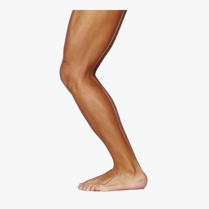 Detail Legs Transparent Background Nomer 2