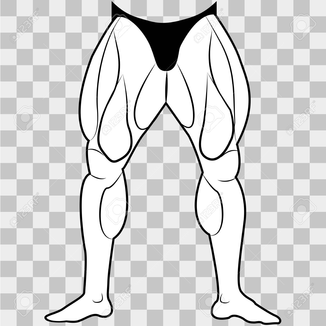 Detail Legs Transparent Background Nomer 24