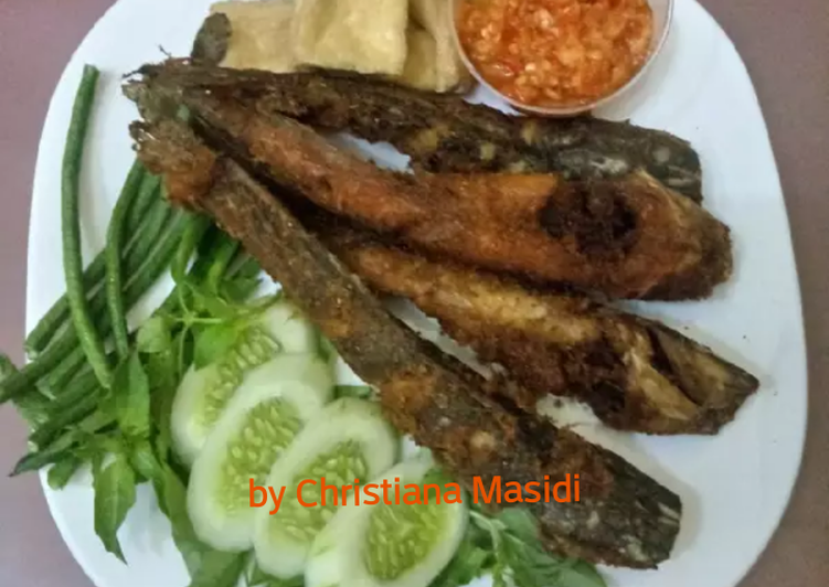 Detail Lele Goreng Png Nomer 21