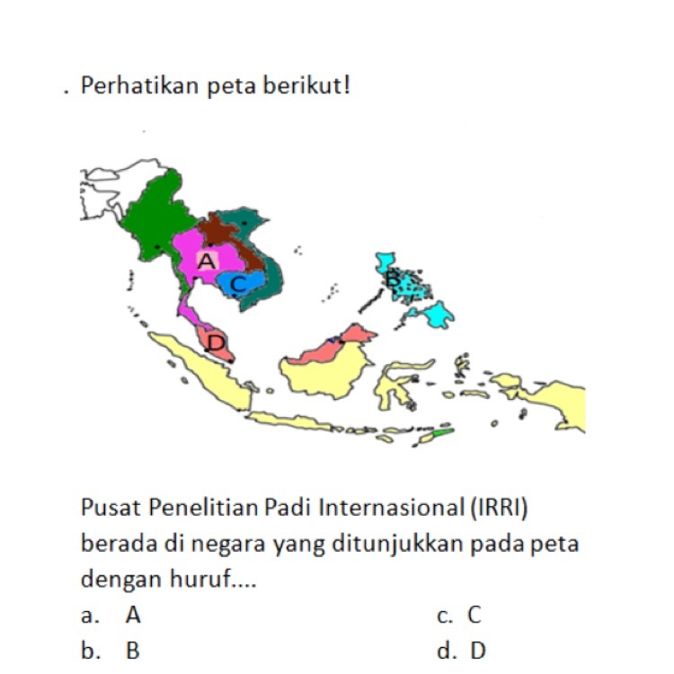 Detail Lembaga Penelitian Padi Internasional Nomer 12