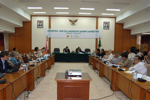 Detail Lembaga Penelitian Padi Internasional Nomer 21