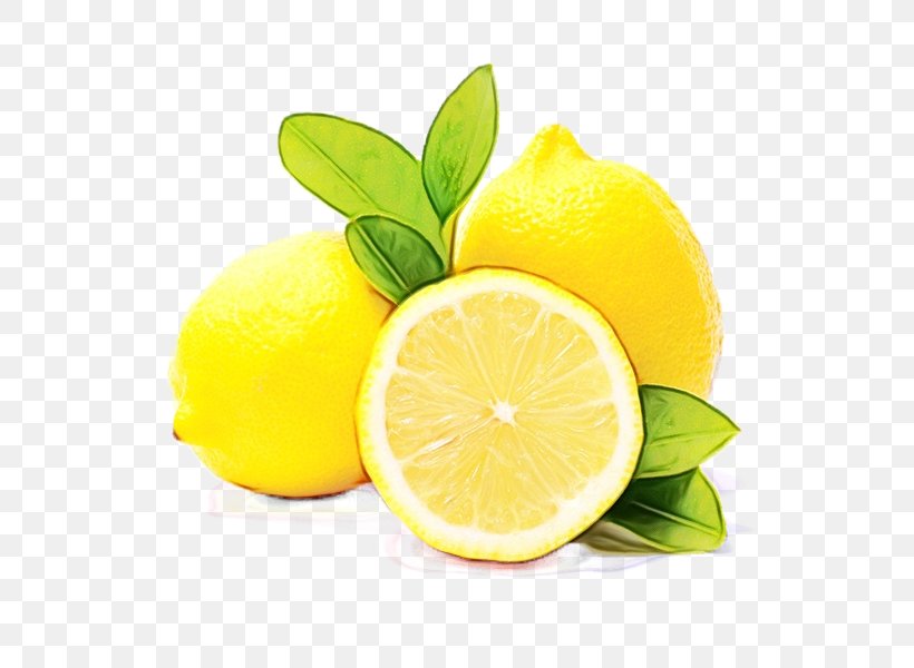 Detail Lemon And Lime Png Nomer 16