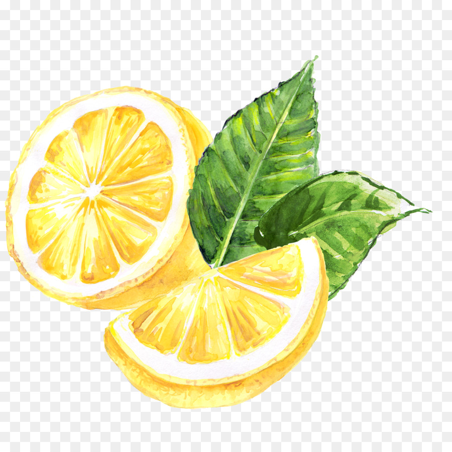 Detail Lemon And Lime Png Nomer 23