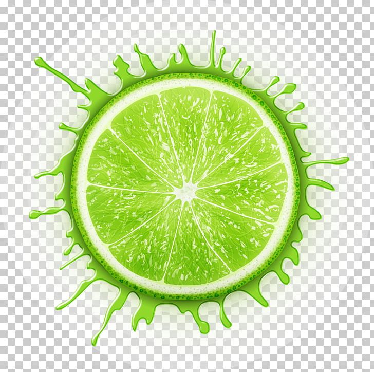 Detail Lemon And Lime Png Nomer 47