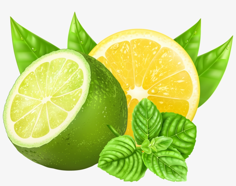 Detail Lemon And Lime Png Nomer 6