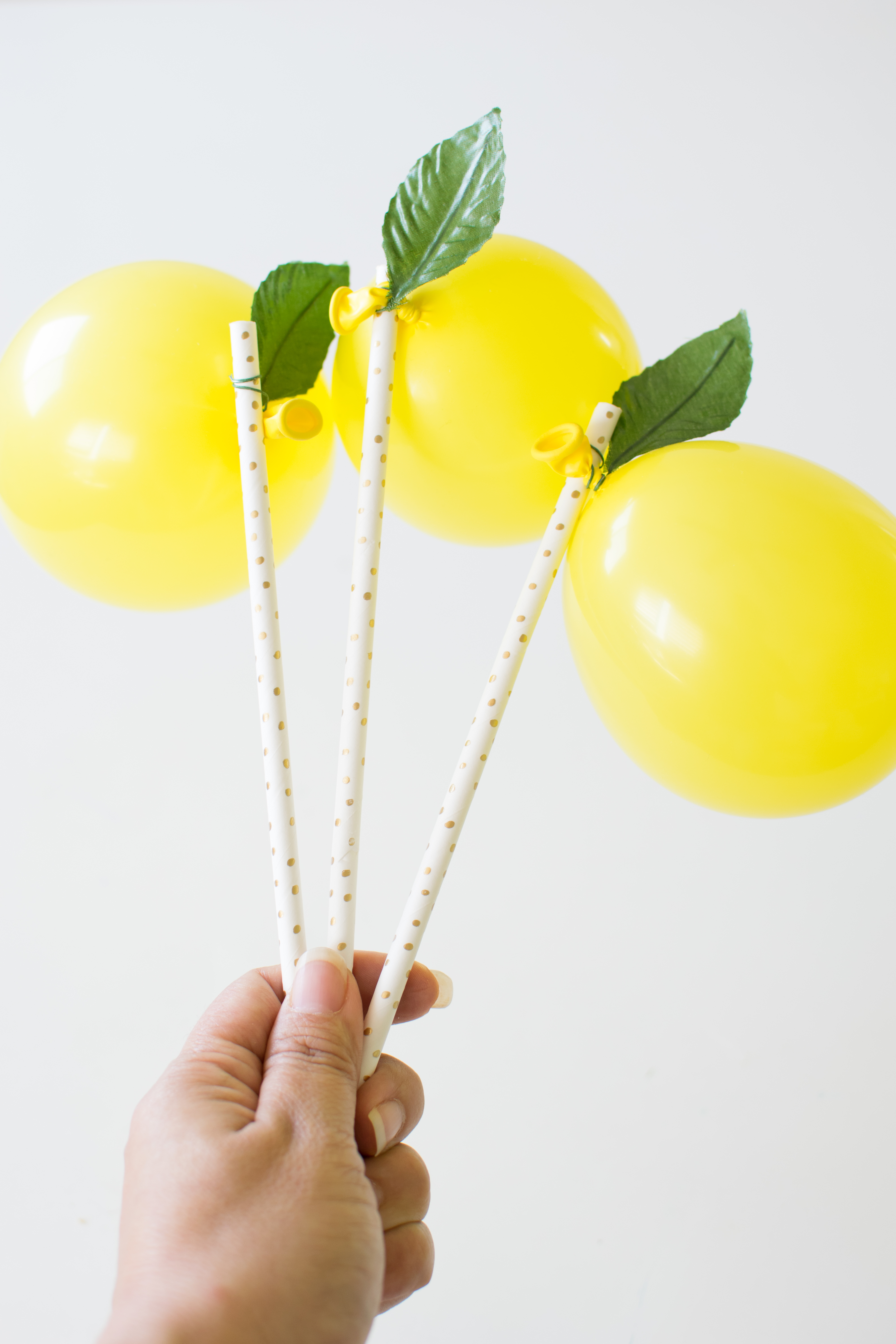 Detail Lemon Balloon Garland Nomer 14