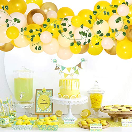 Detail Lemon Balloon Garland Nomer 47