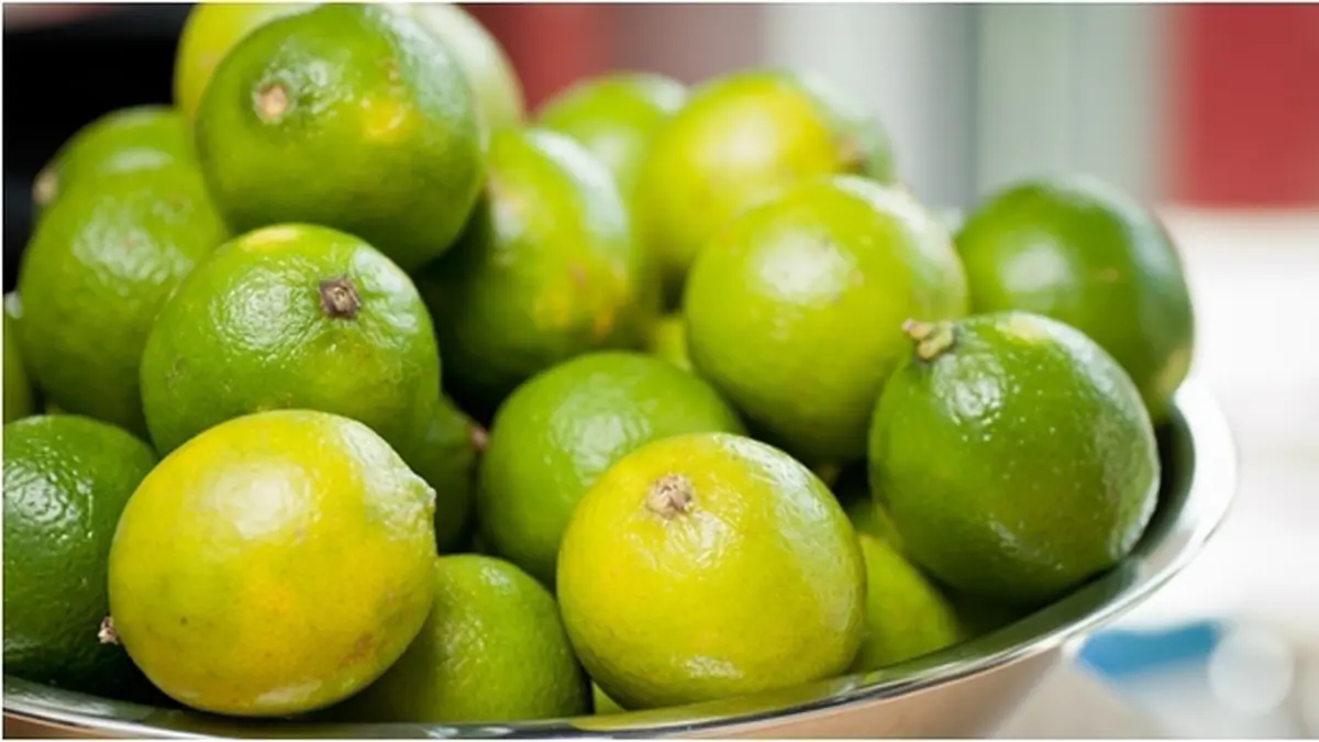 Detail Lemon Dan Jeruk Nipis Nomer 25