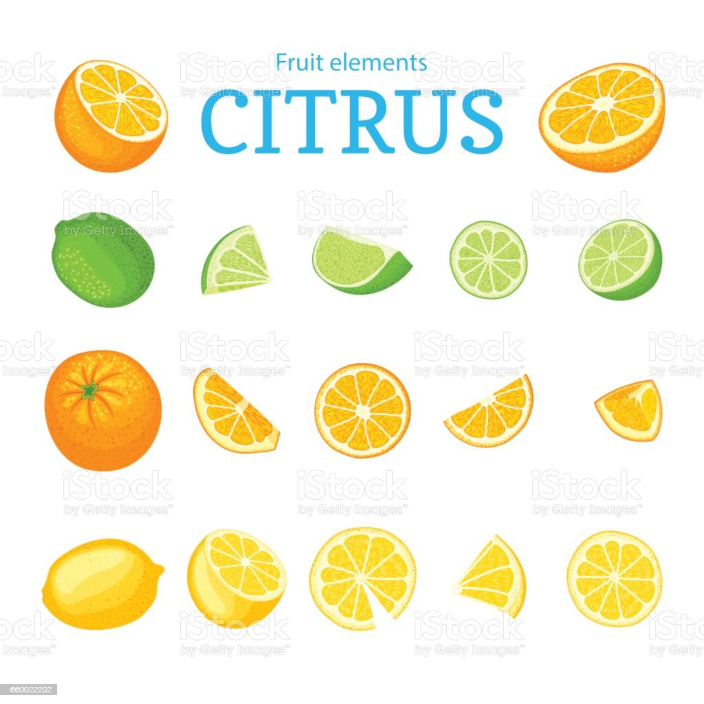 Detail Lemon Dan Jeruk Nipis Nomer 50