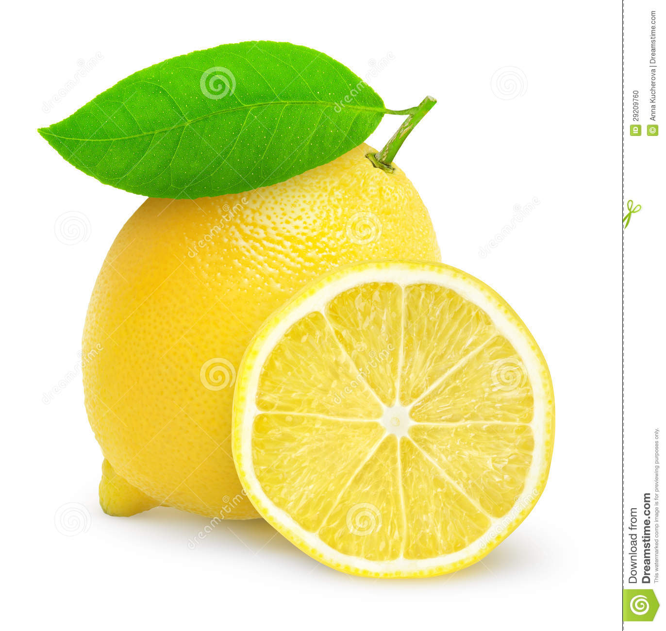 Detail Lemon Downloads Nomer 14