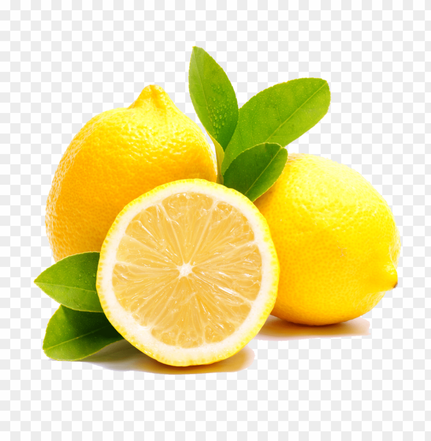 Download Lemon Downloads Nomer 3