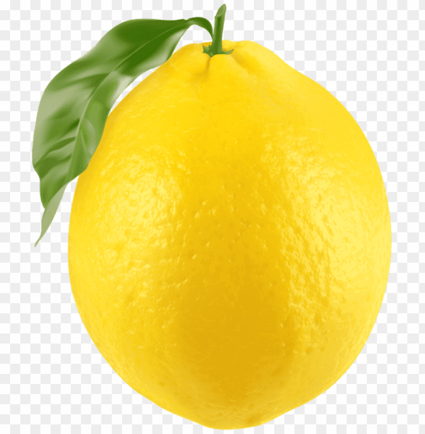 Detail Lemon Images Free Nomer 15