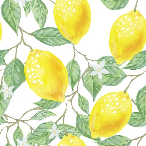 Detail Lemon Images Free Nomer 18