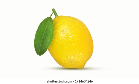 Detail Lemon No Background Nomer 29