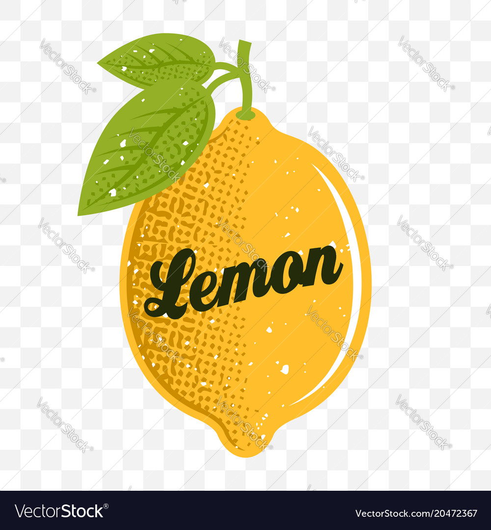 Detail Lemon No Background Nomer 48