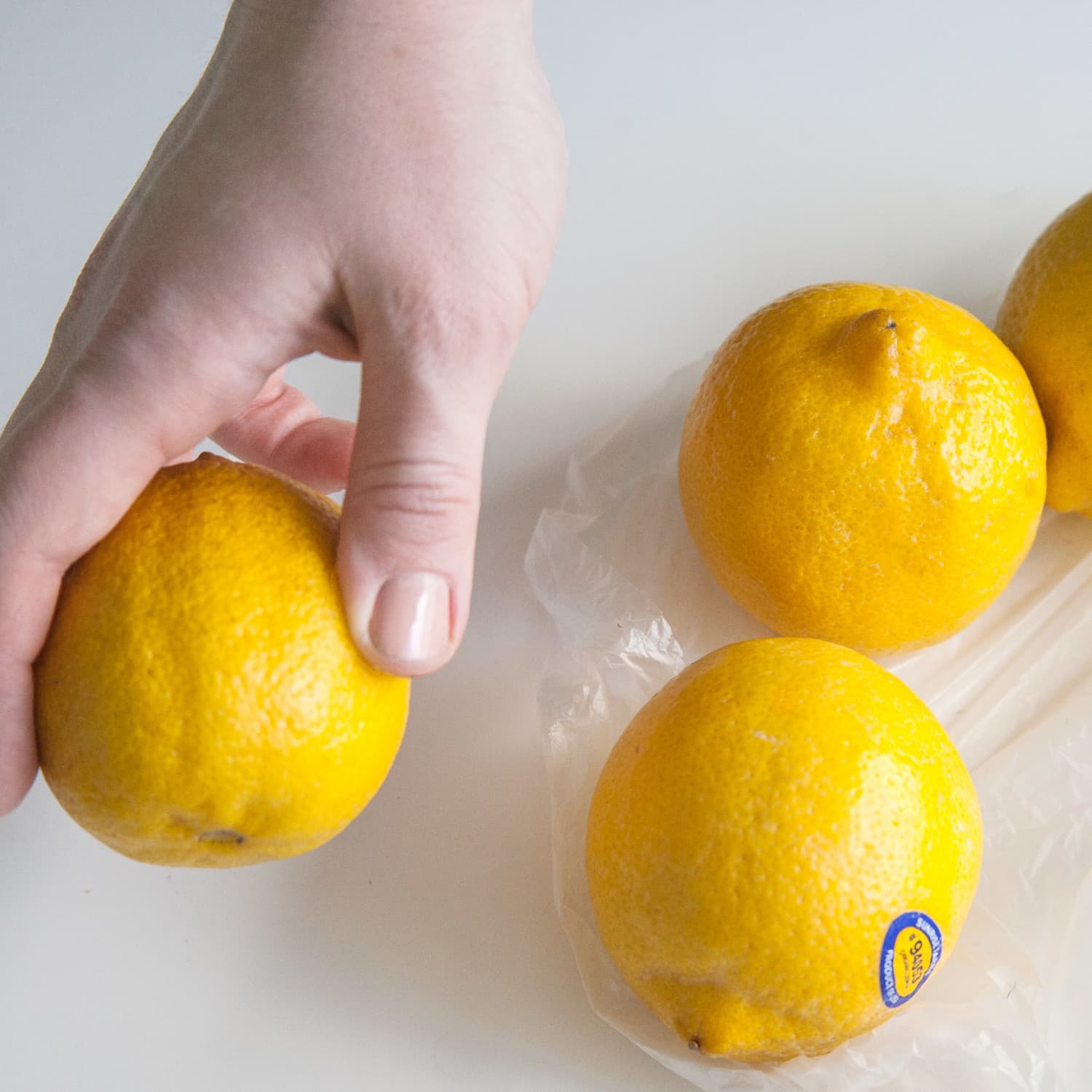 Detail Lemon Picture Nomer 48