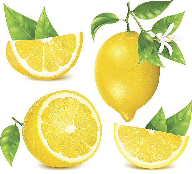 Detail Lemon Pictures Free Nomer 48