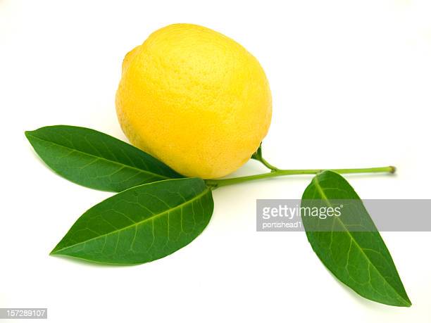 Detail Lemon Pictures Free Nomer 56