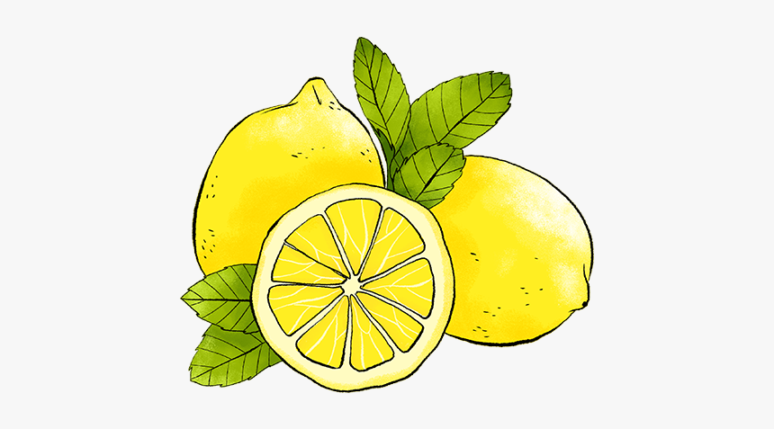 Detail Lemon Transparent Background Nomer 38