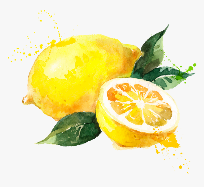 Detail Lemon Transparent Background Nomer 46